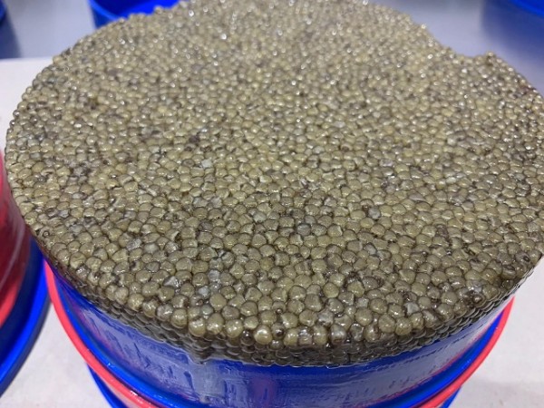 royal beluga caviar